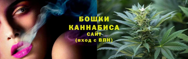 PSILOCYBIN Саяногорск